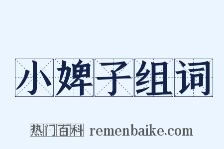 小婢子组词是什么意思的图片